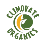 app icon transparent